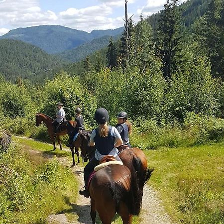 River Run Ranch - Telemark Drangedal エクステリア 写真