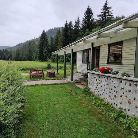 River Run Ranch - Telemark Drangedal エクステリア 写真
