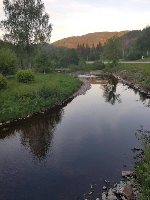 River Run Ranch - Telemark Drangedal エクステリア 写真