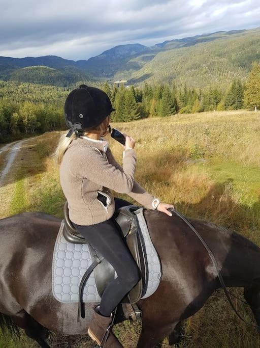River Run Ranch - Telemark Drangedal エクステリア 写真