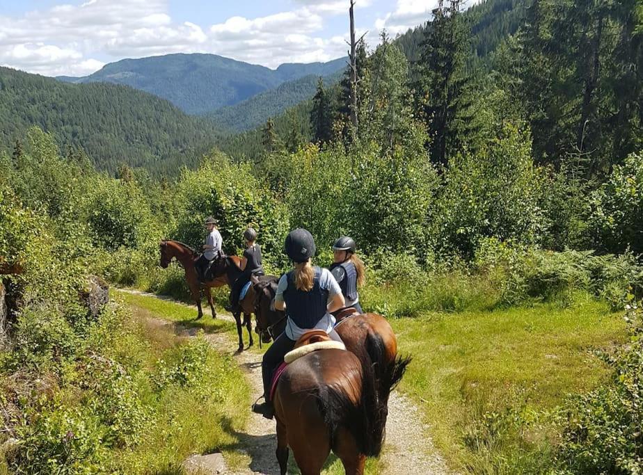 River Run Ranch - Telemark Drangedal エクステリア 写真