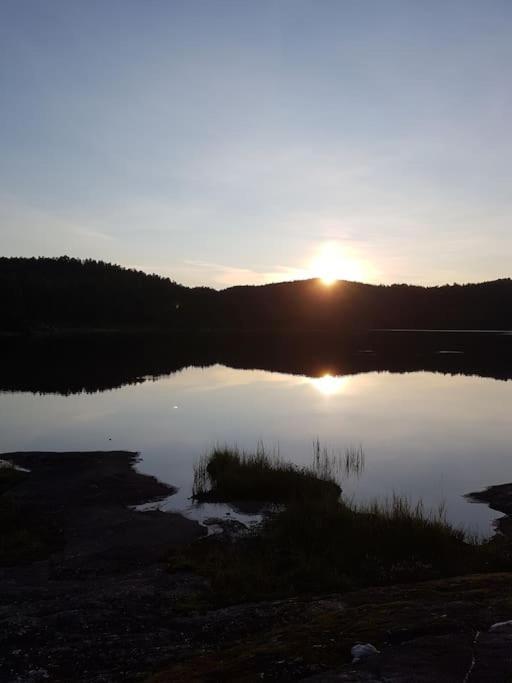 River Run Ranch - Telemark Drangedal エクステリア 写真