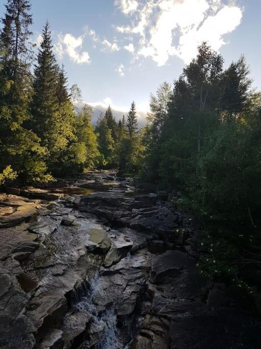 River Run Ranch - Telemark Drangedal エクステリア 写真