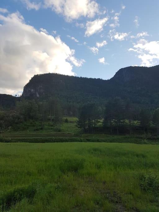 River Run Ranch - Telemark Drangedal エクステリア 写真