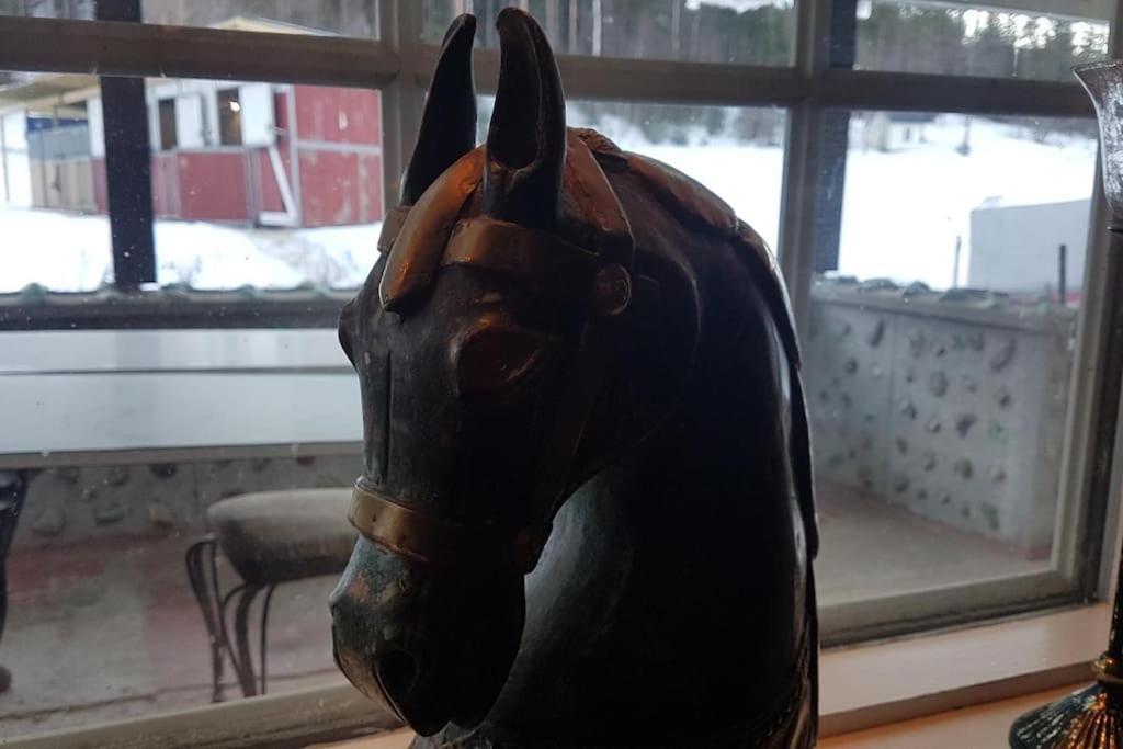 River Run Ranch - Telemark Drangedal エクステリア 写真