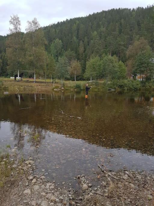 River Run Ranch - Telemark Drangedal エクステリア 写真
