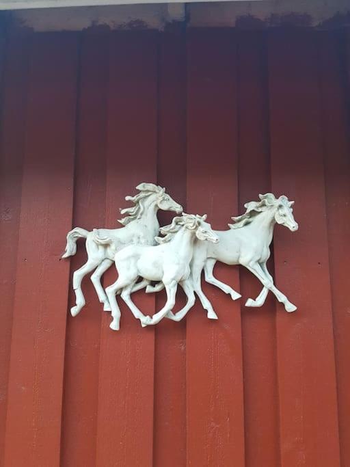 River Run Ranch - Telemark Drangedal エクステリア 写真