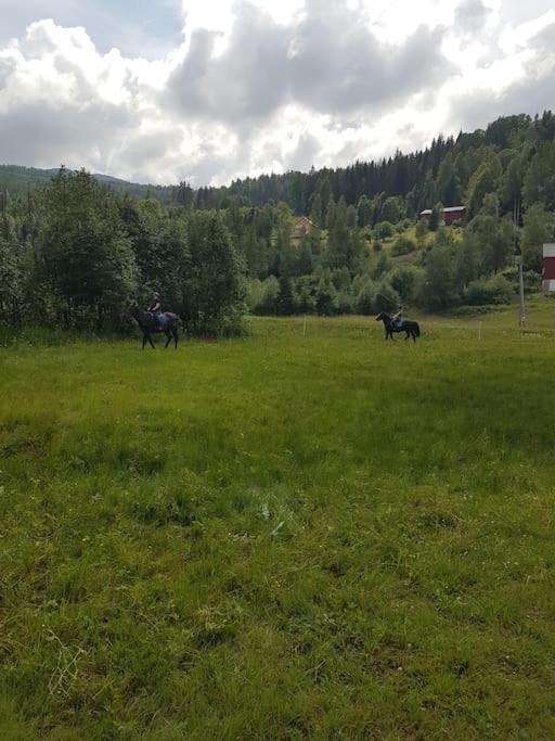 River Run Ranch - Telemark Drangedal エクステリア 写真