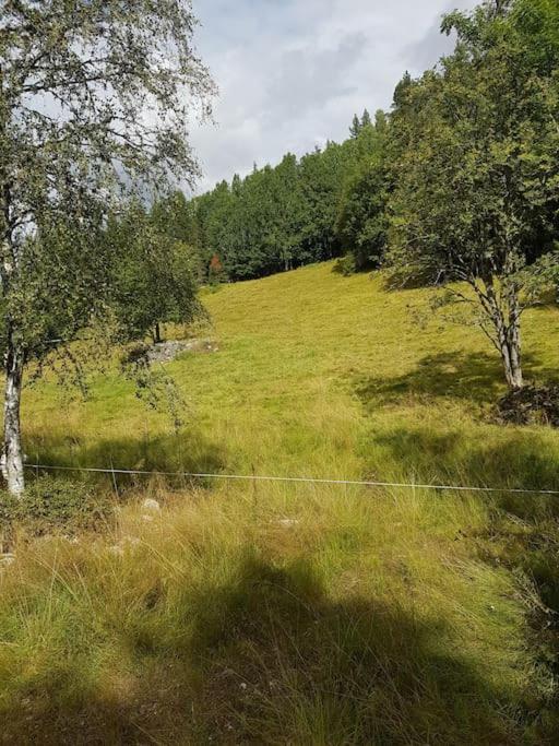 River Run Ranch - Telemark Drangedal エクステリア 写真
