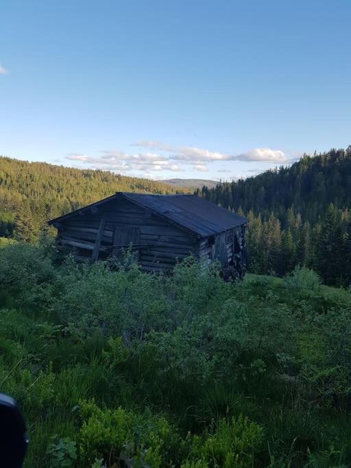 River Run Ranch - Telemark Drangedal エクステリア 写真