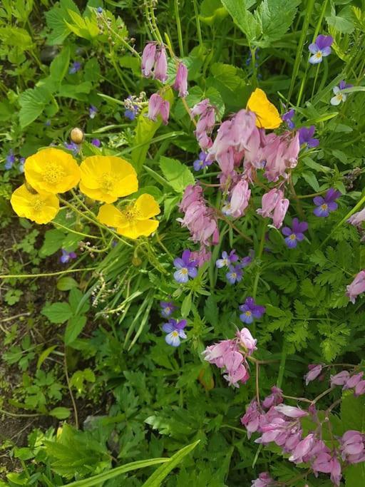 River Run Ranch - Telemark Drangedal エクステリア 写真
