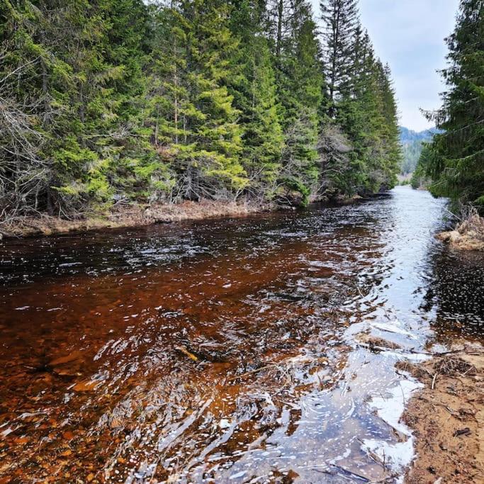River Run Ranch - Telemark Drangedal エクステリア 写真