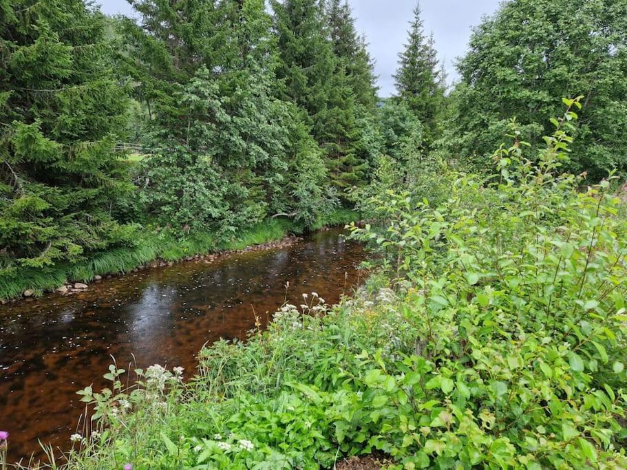 River Run Ranch - Telemark Drangedal エクステリア 写真