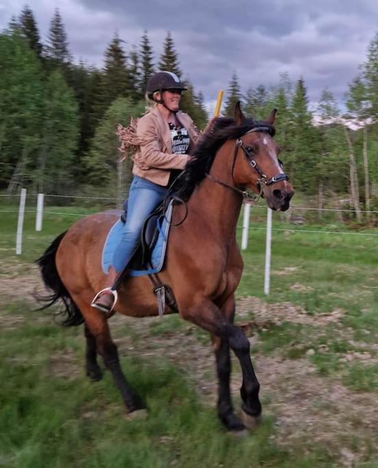 River Run Ranch - Telemark Drangedal エクステリア 写真