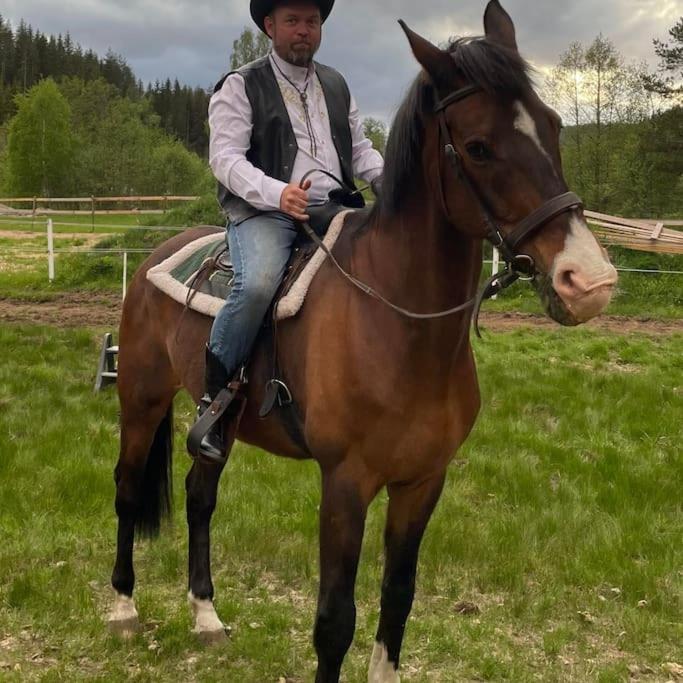 River Run Ranch - Telemark Drangedal エクステリア 写真