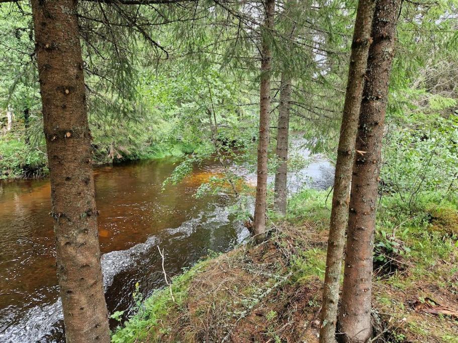 River Run Ranch - Telemark Drangedal エクステリア 写真