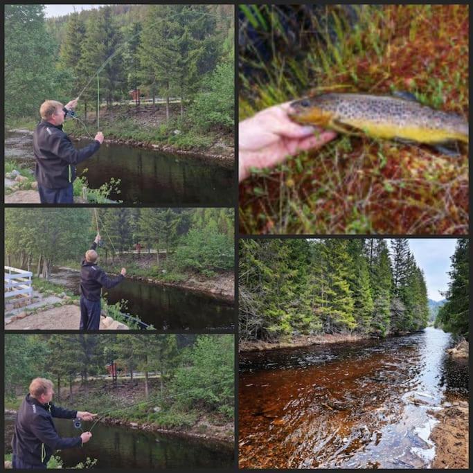 River Run Ranch - Telemark Drangedal エクステリア 写真