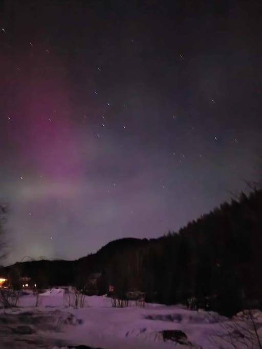 River Run Ranch - Telemark Drangedal エクステリア 写真