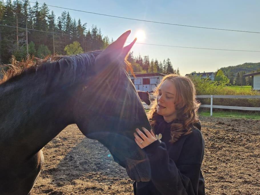 River Run Ranch - Telemark Drangedal エクステリア 写真
